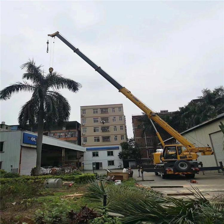 横县吊车吊大树几种方法